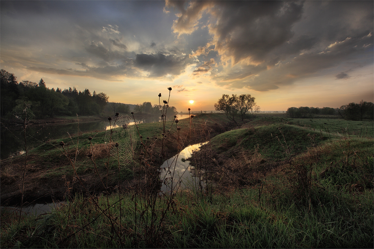 pautinovy ​​Dawn (EDT)