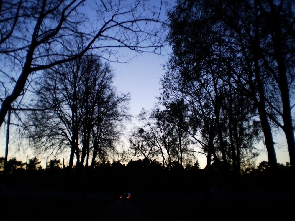 and we keep driving into the night