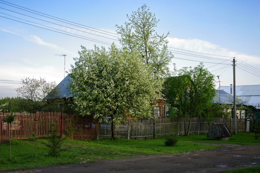 Mai Abend nach dem Sturm ...