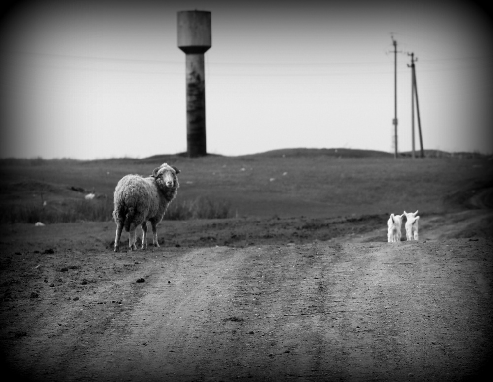 Familienausflug auf die