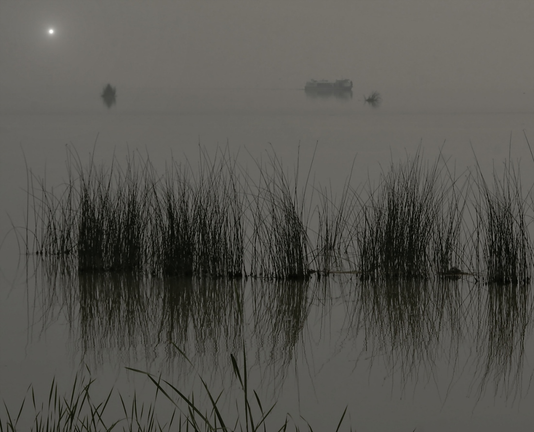 In der Stille des Mondes