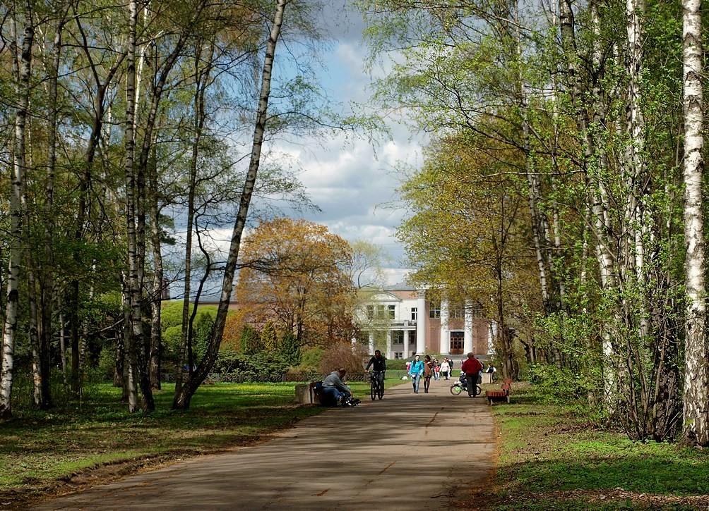 Botanischer sad.May.