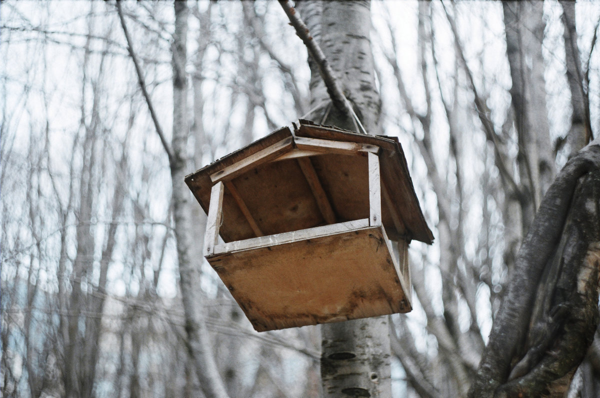 Wir freuen uns auf Frühling.