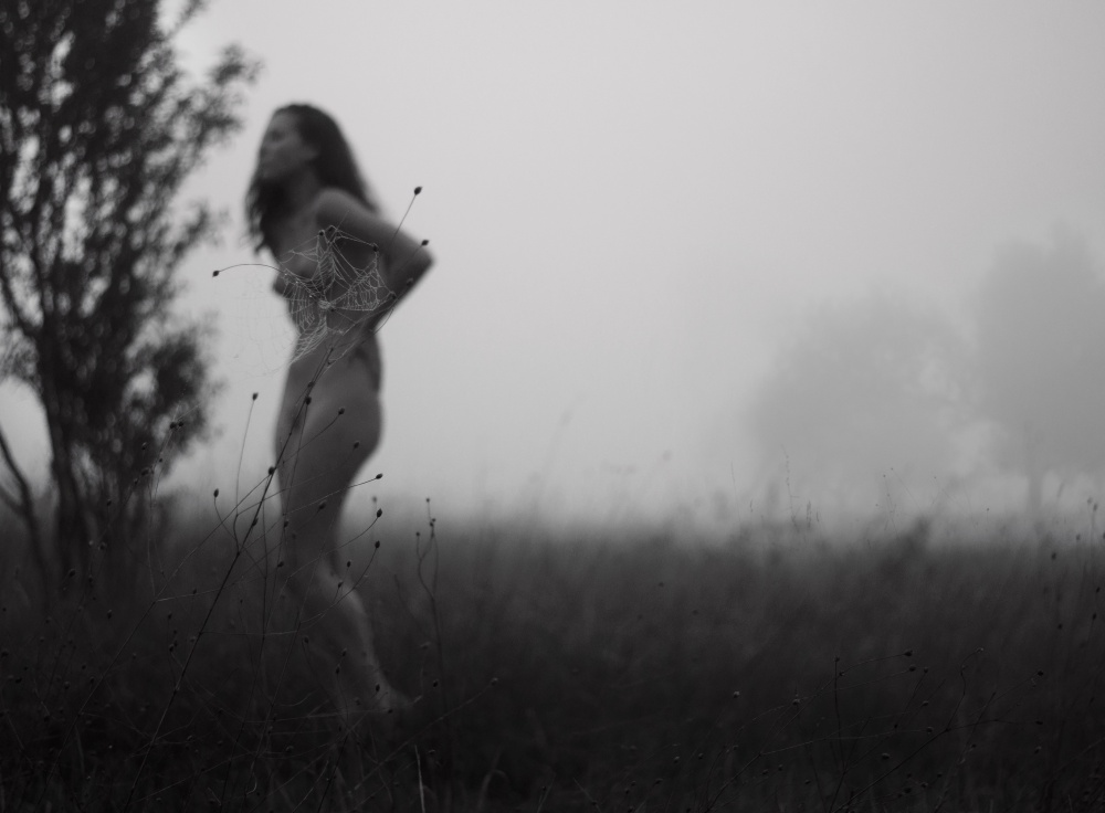 Die Illusion der Freiheit