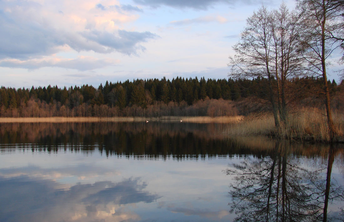 Auf der Frühling und Liebe