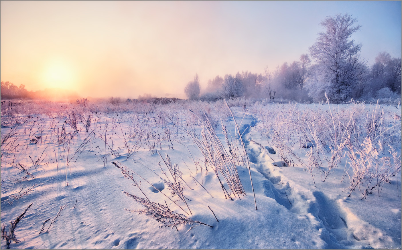 / Die frostigen Morgen ..... /