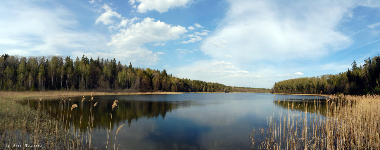 Forest Lake