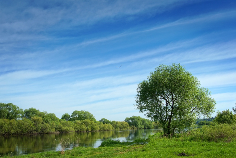 Der Frühling ist gekommen ...