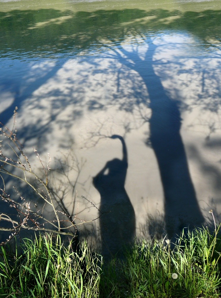 Ich werde Ihre Filiale sein