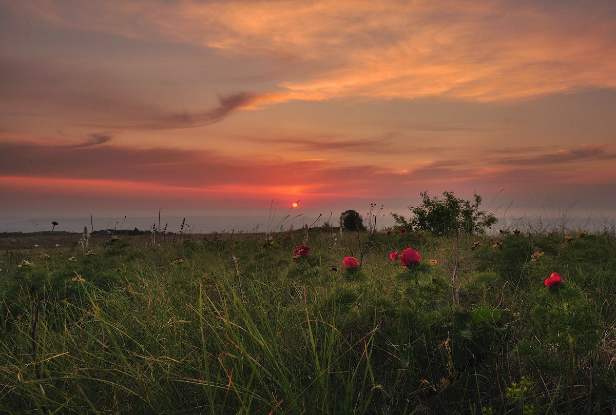 Jäger des ausgehenden Lichts.
