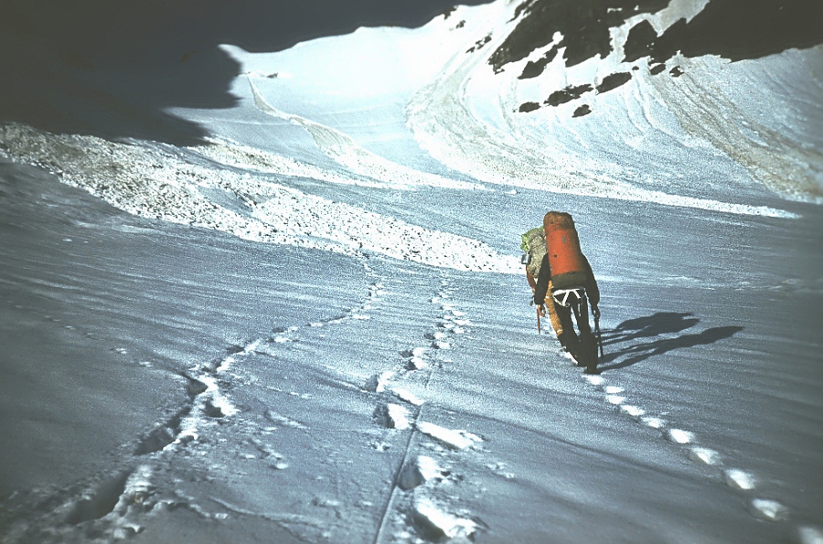 Blättert man in alten Alben