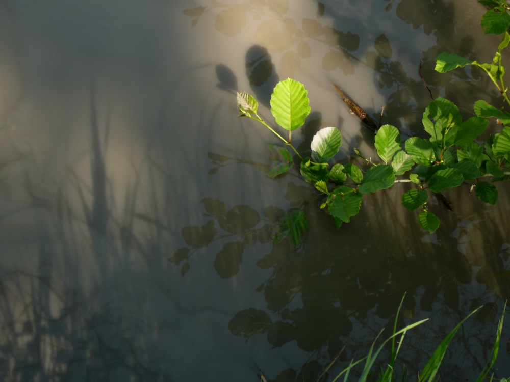 Onalozhenii Schatten Reflexion