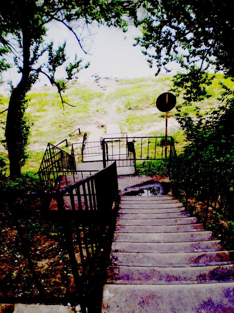 Nehmen Sie den Pfad.