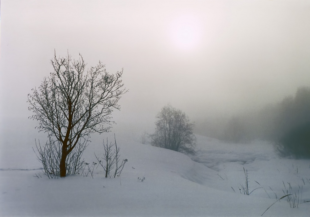 "Winter Mist"