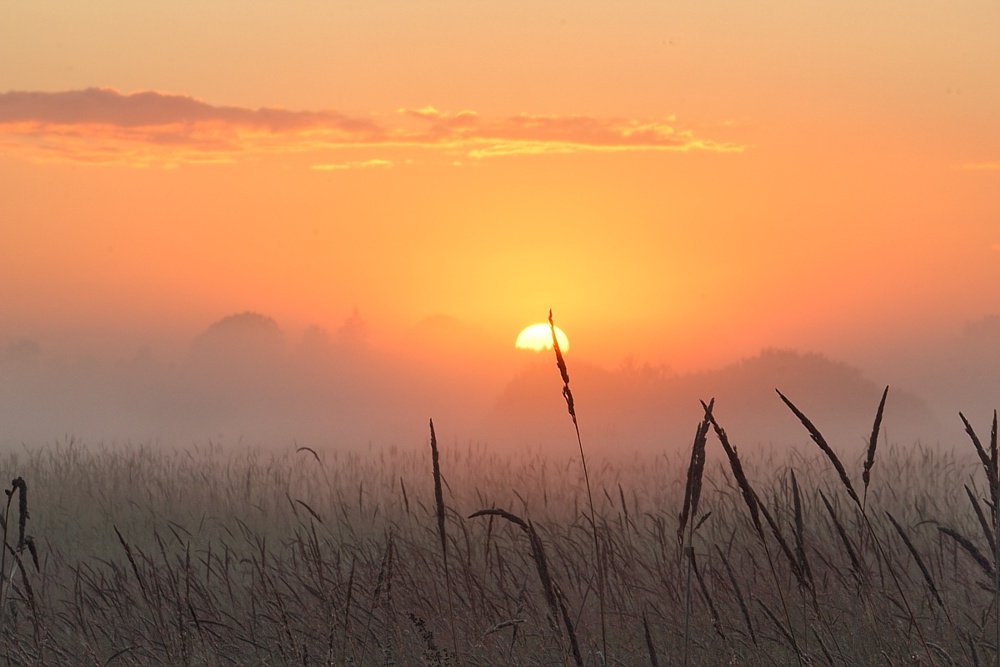 Vielversprechende ein neuer Tag ......