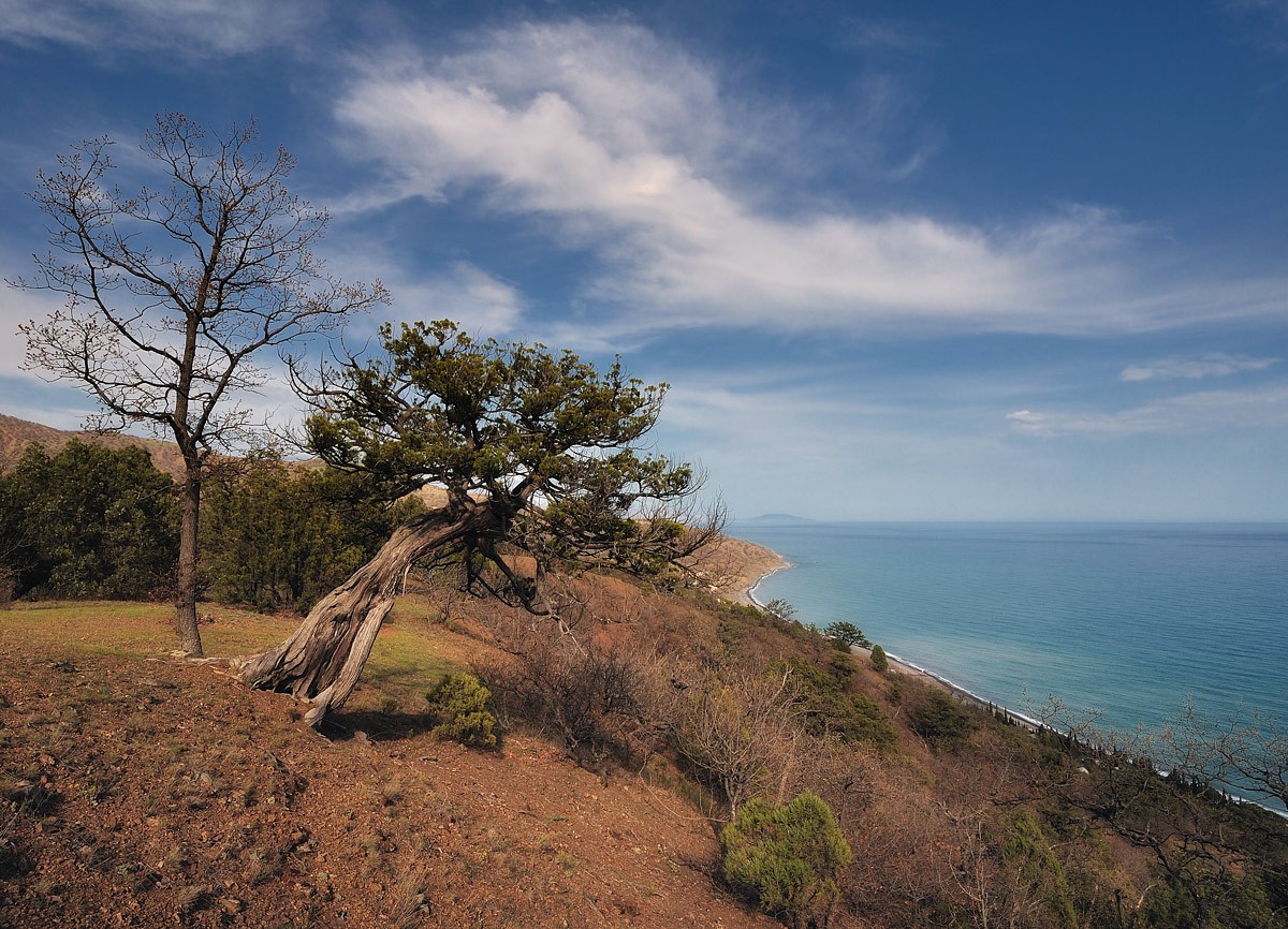 500 Jahre in den Reihen.
