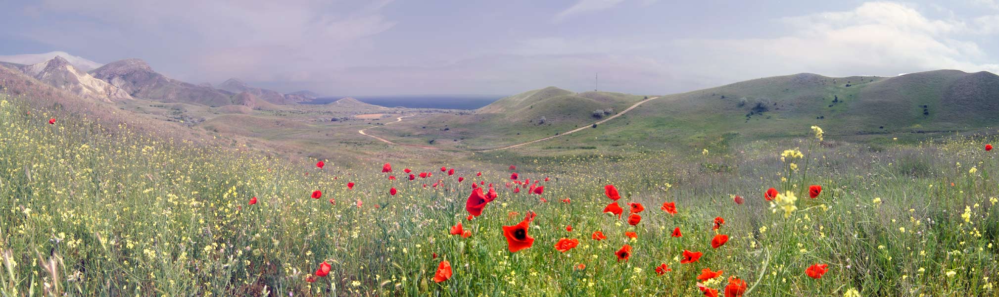 Frühling in einer ruhigen Bucht