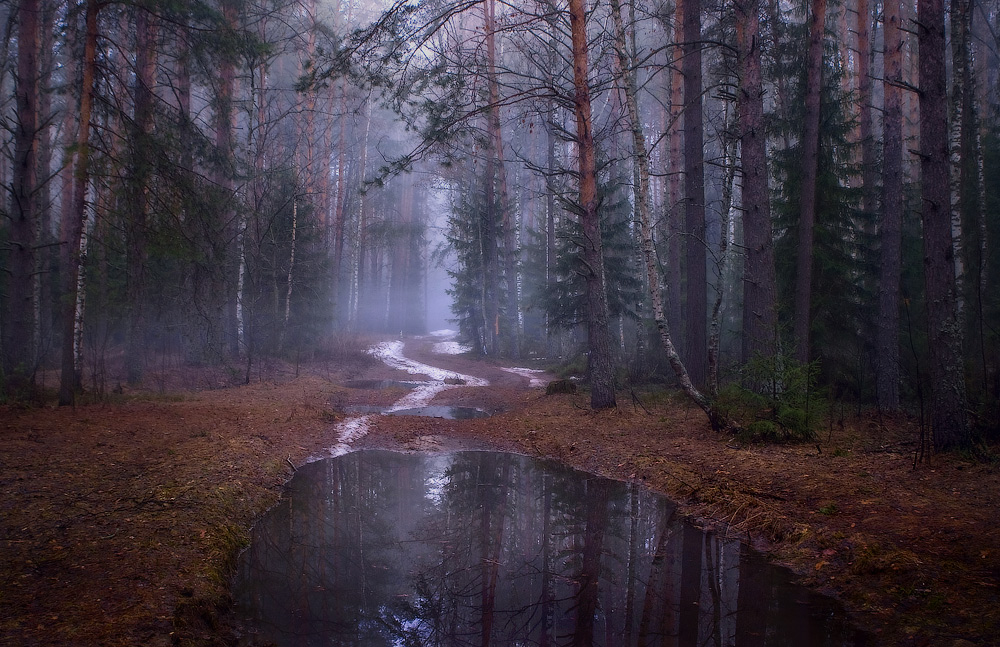 Am frühen Morgen des letzten Schnee