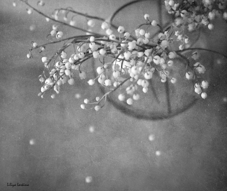 Einmal wurde es meine traurige jetzt ....