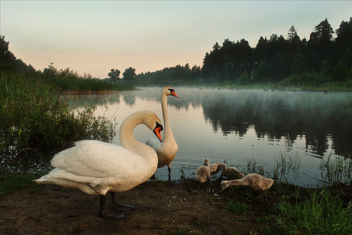 Unter der Aufsicht von