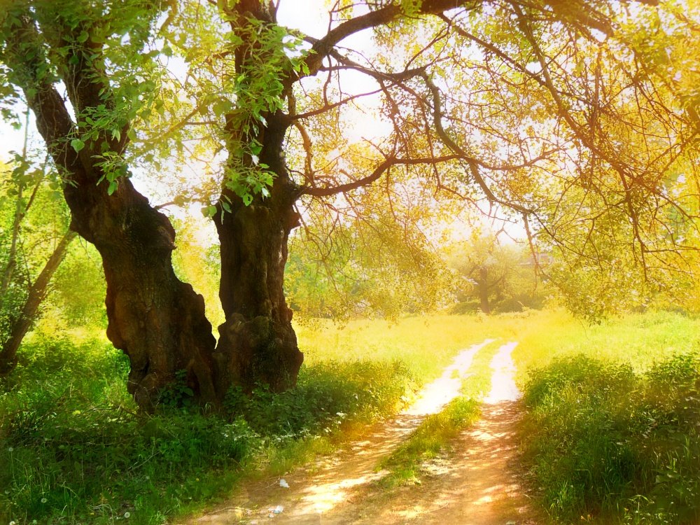 Verfolgen Sie vorbei an der alten
