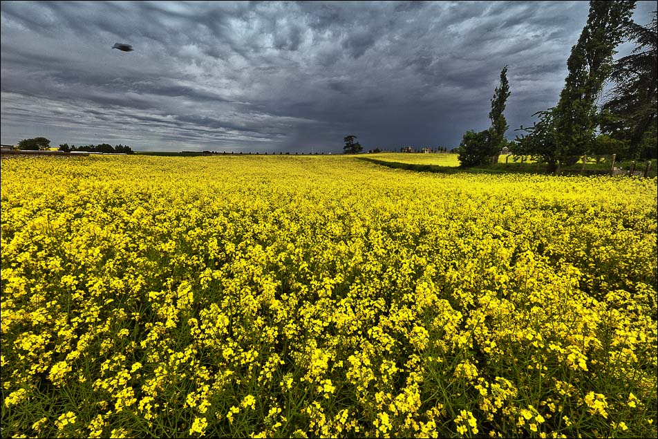 Wandern in Frankreich ......