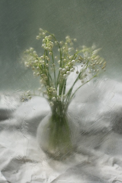 Möge der Frische ...