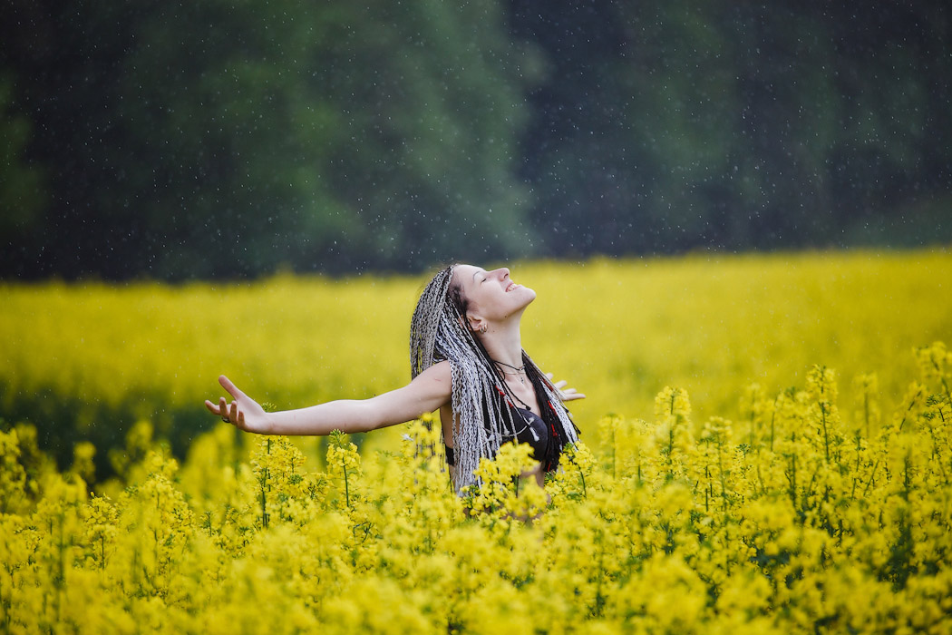 Frühlings-positiv, unter der regen