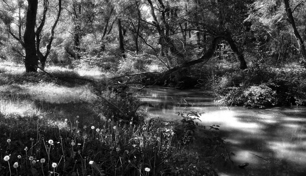 Solar-Kaninchen schwarz-weiß