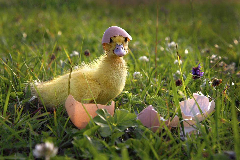 "Ich wurde geboren!"