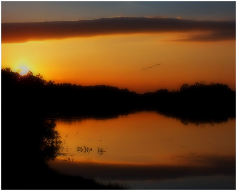 Möwen, Möwen, chaechki