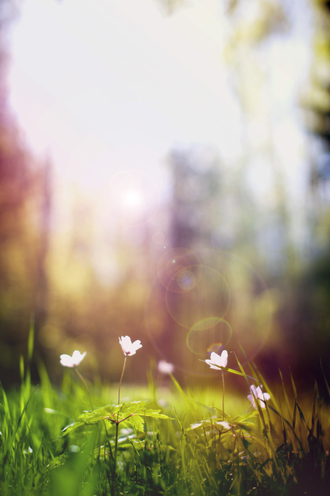 Im Frühjahr, die wir atmen ...