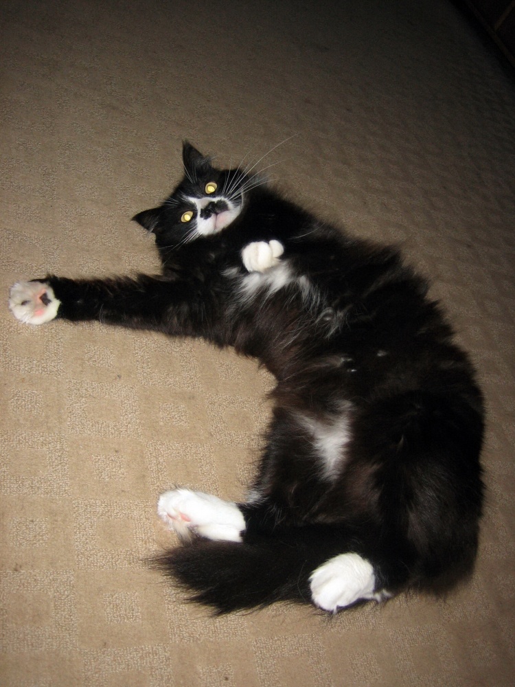 Nun, sehr müde - hinlegen ein bisschen :)