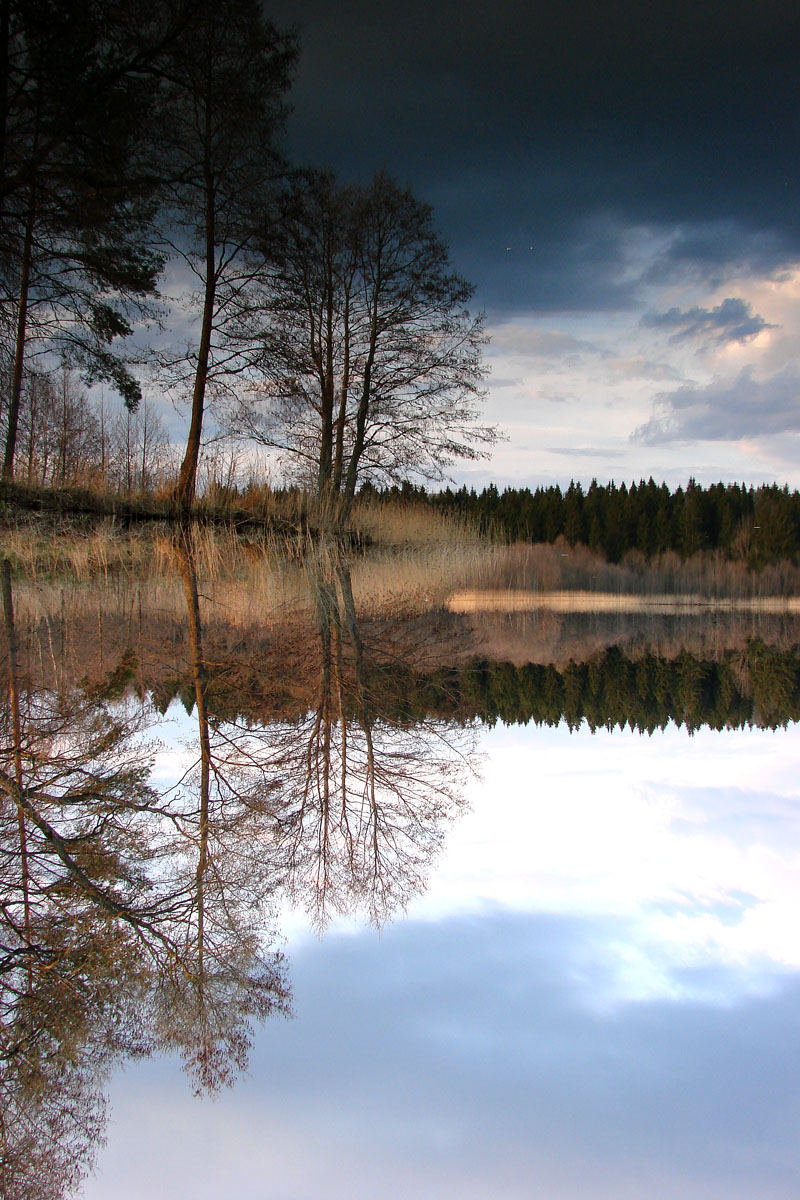 Auf einer dunklen pritemnoy Tuchke