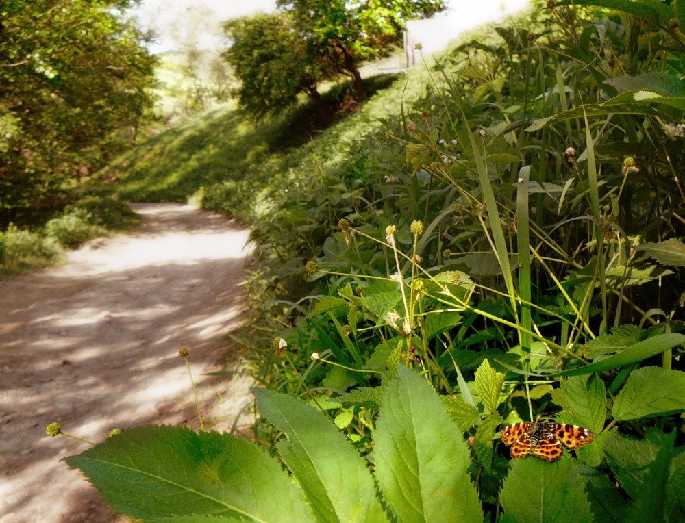 Auf dem Weg zum Fluss, setzte ich mich