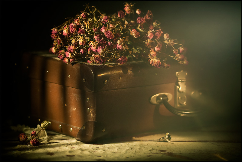 die vergessenen Dinge