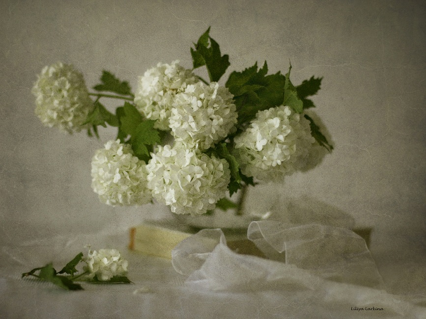 Heute habe ich pogruschu bit ....