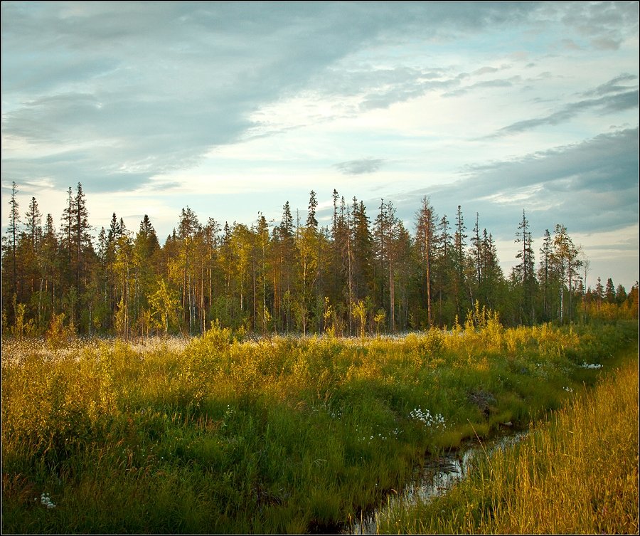 Sommer wird in Kürze ...
