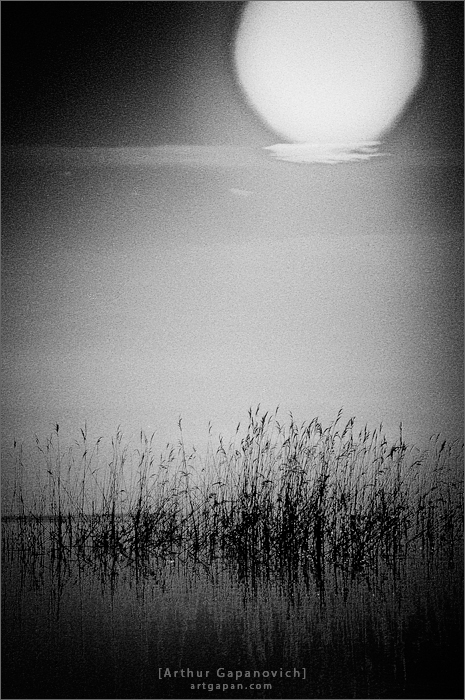 [Auf der Sonne, der Mond hat sich zu einem ...]