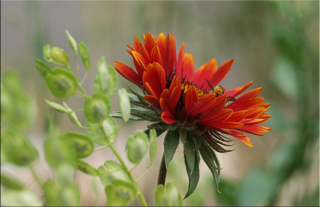 Zusammen mit sornyachkom ***