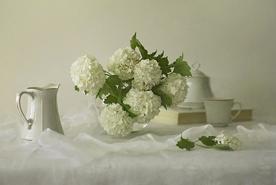 Ich erinnere mich an einen wunderbaren Moment ...