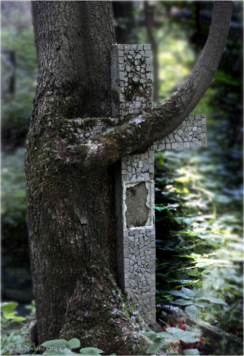 «Всему своё время...»