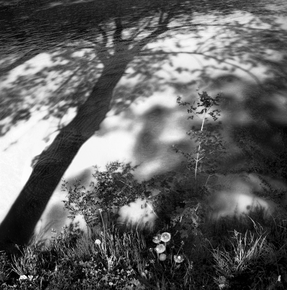 Wie man Wasser zu umarmen, Erde und Sonne