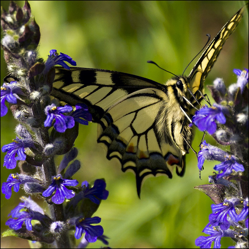 zwischen den beiden.
