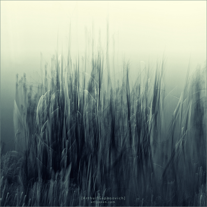 [Im hohen Gras Dreams ...]