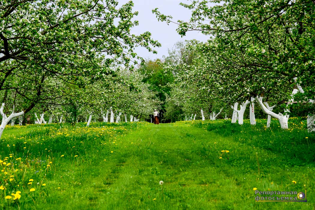 Полигон в Бутово. Всем ушедшим...
