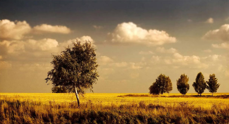 Die letzten warmen Tage ..