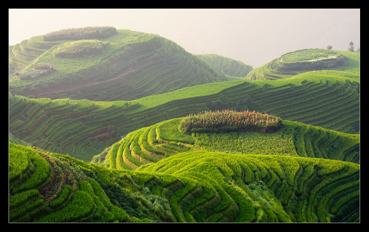 Plüsch-Erde (2) ....