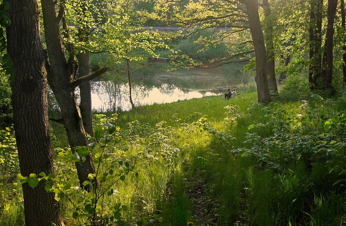 Setzen wir uns hin und reden ... ...