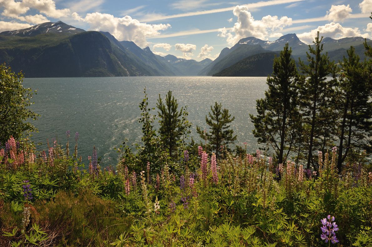 Blick auf den Fjord an einem sonnigen Tag.